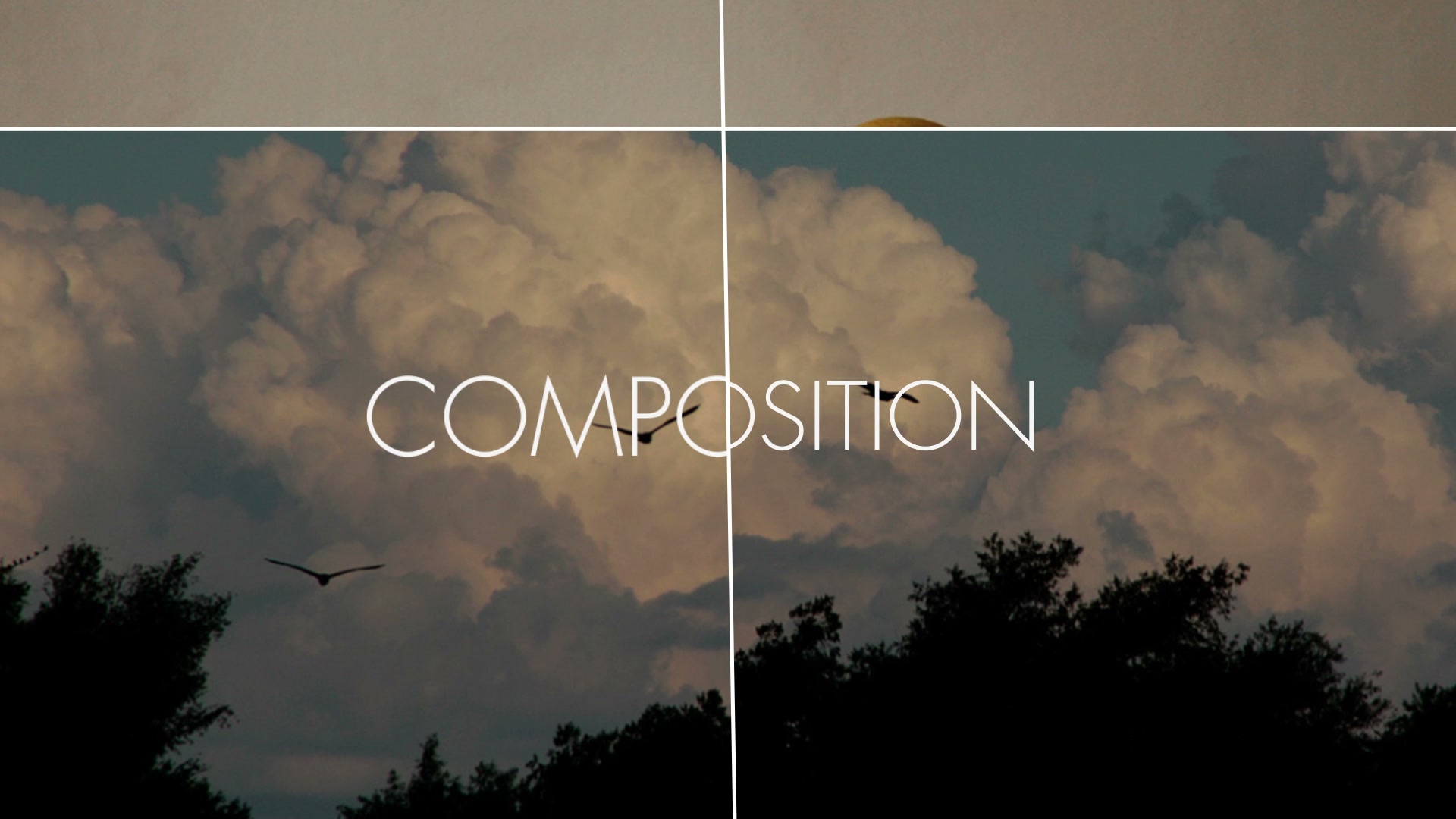 Motion Graphics & Photography Showcase still 2