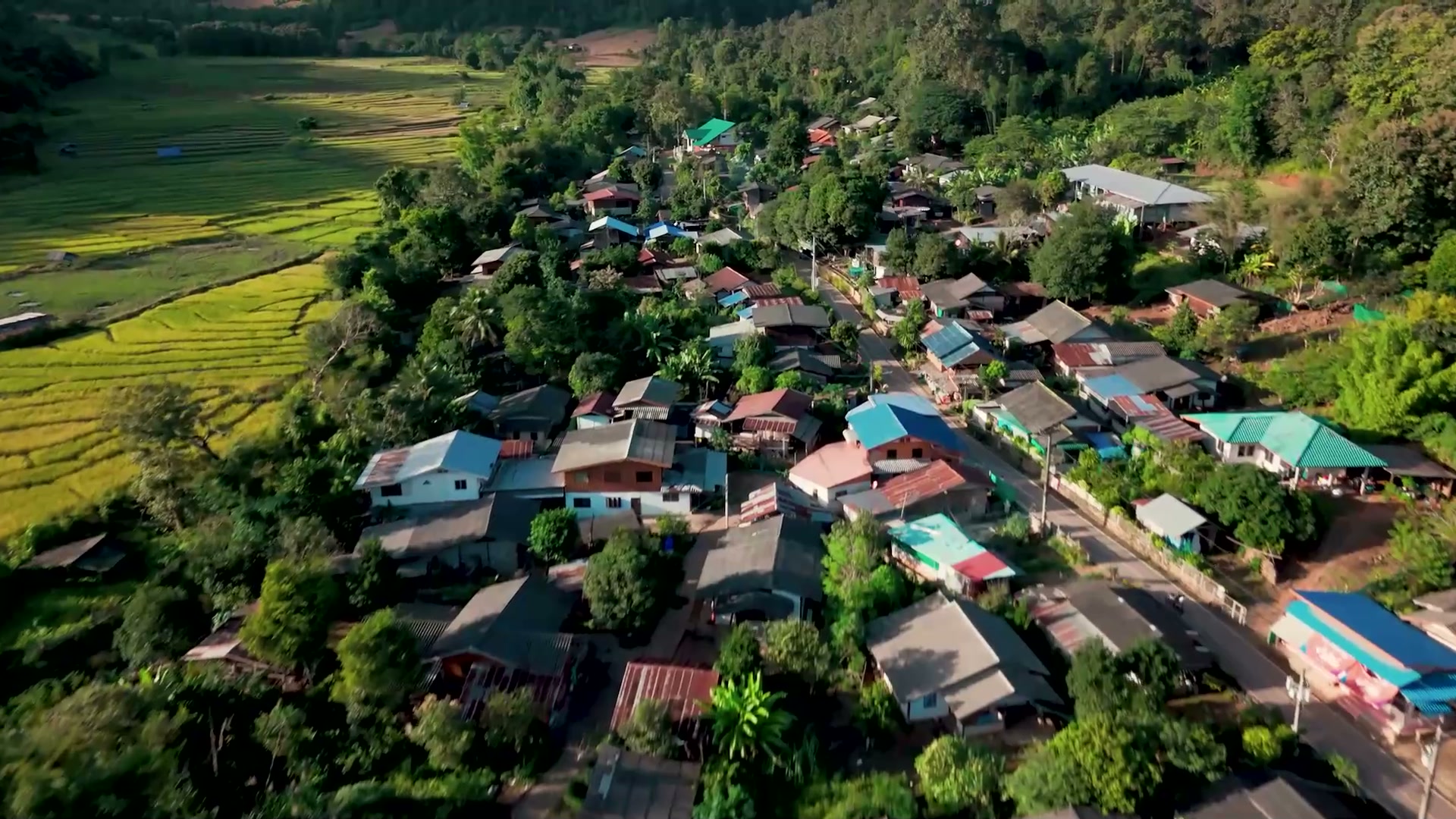 Pai still 2